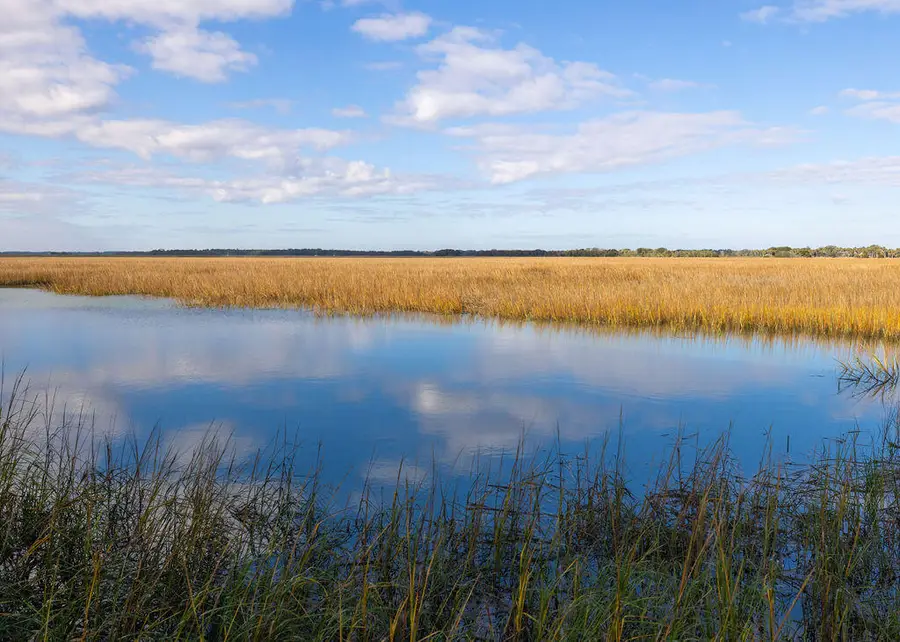 2393 Folly Road #1a, Folly Beach, SC 29439 - #3