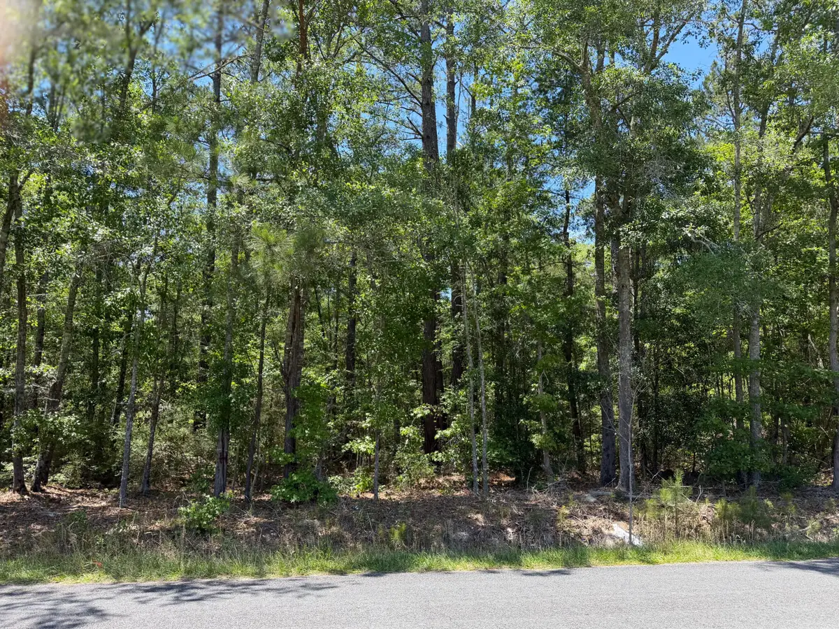 0 Hideaway Drive, Ridgeville, SC 29472 - #1