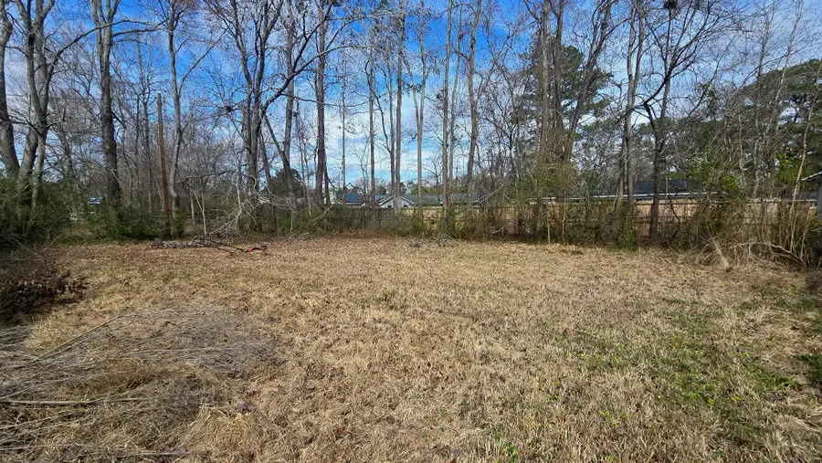 421 Sarah Drive, Goose Creek, SC 29445 - #3