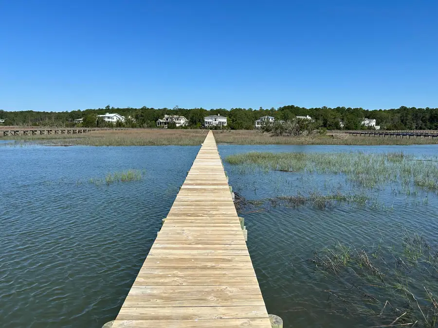 547 Little Barley Lane, Charleston, SC 29492 - #2