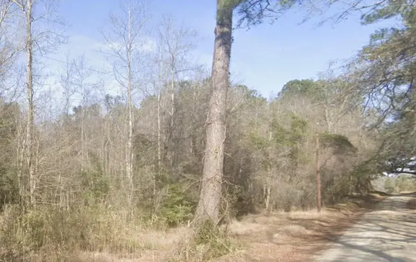 0 Snake Branch Road, Round O, SC 29474