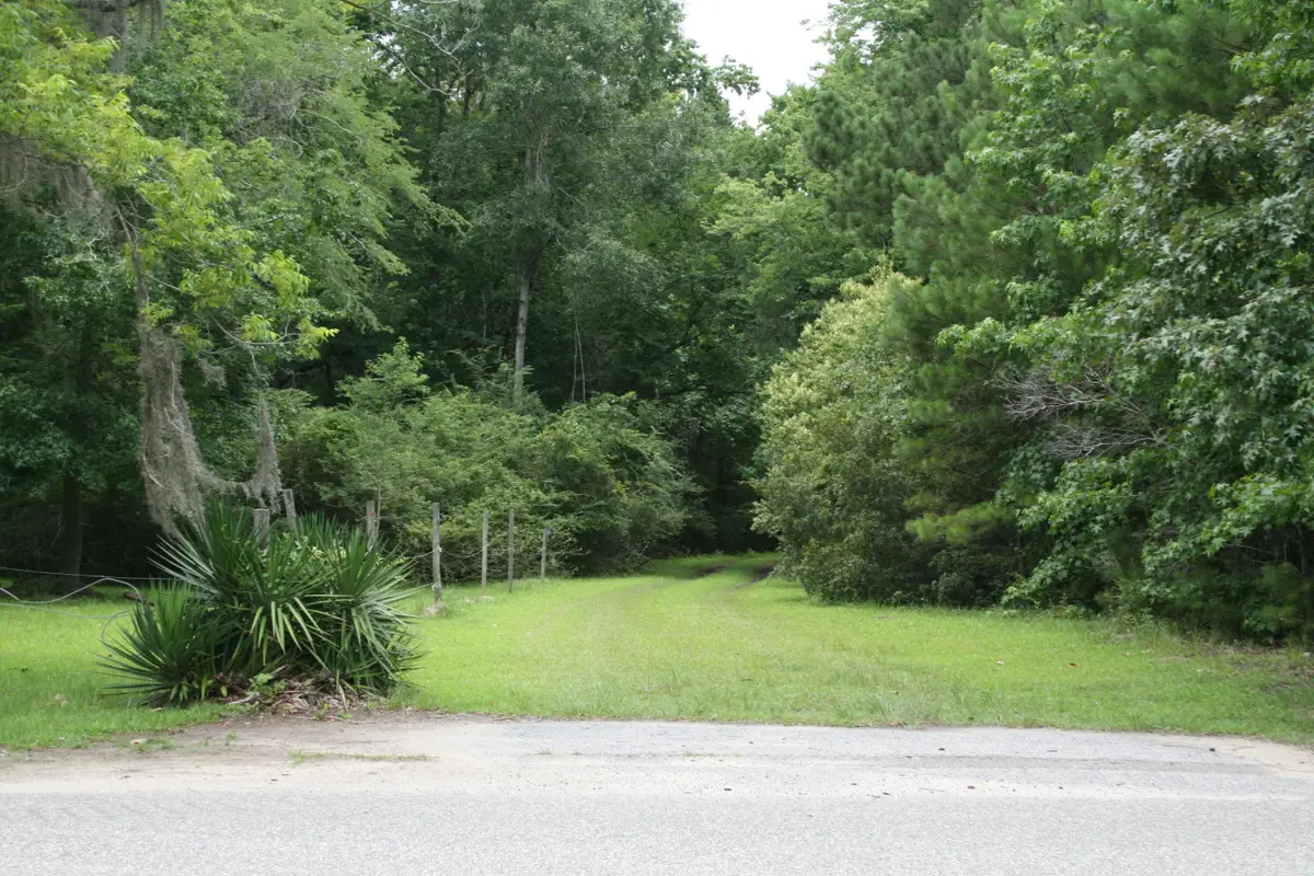 0 Kitfield Road, Moncks Corner, SC 29461 - #1