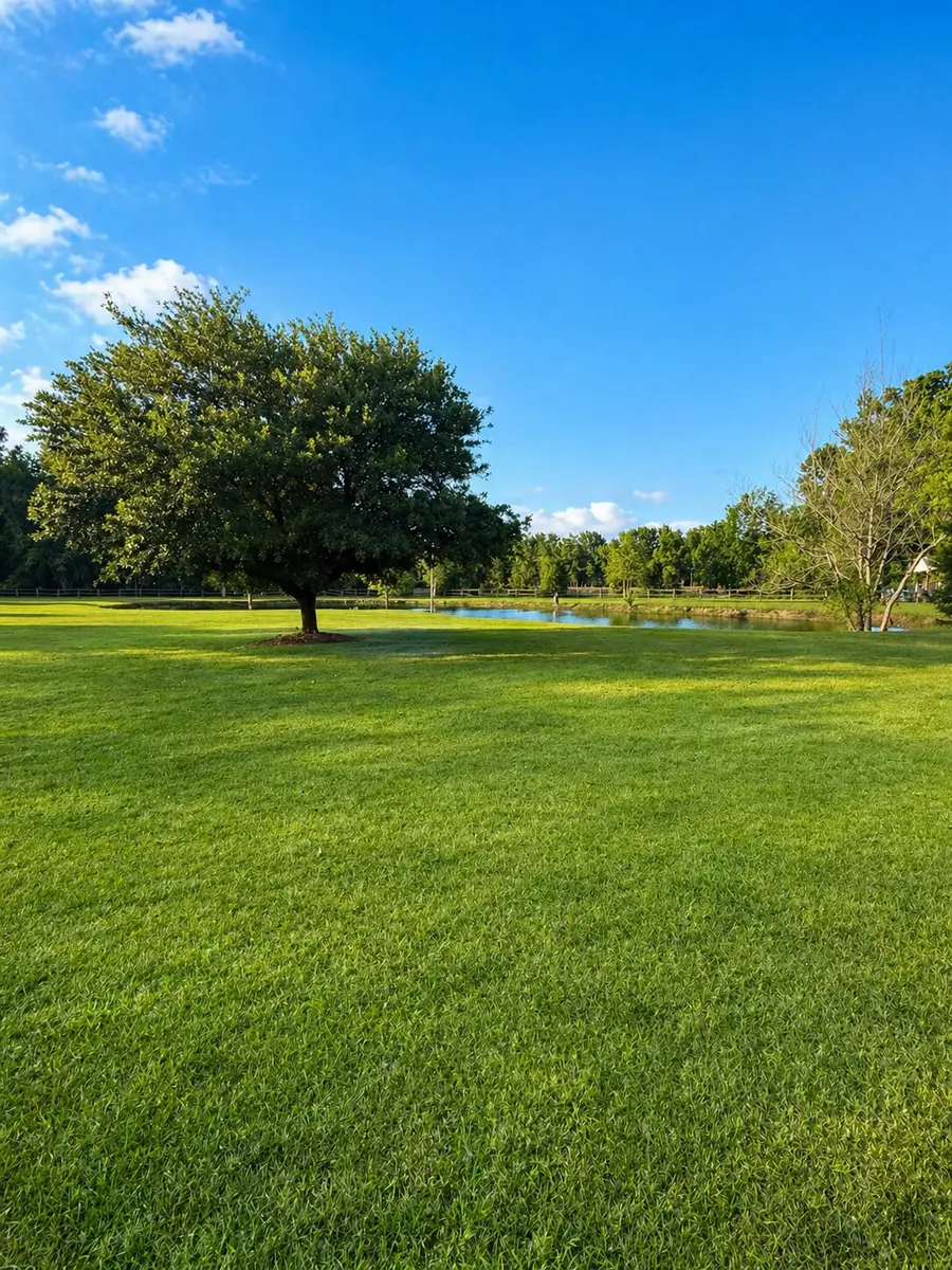 164 Sparrow Road, Saint George, SC 29477 - #3