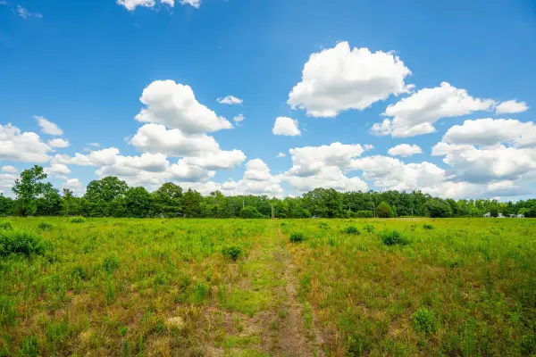 0 Rehoboth Road, Cottageville, SC 29435