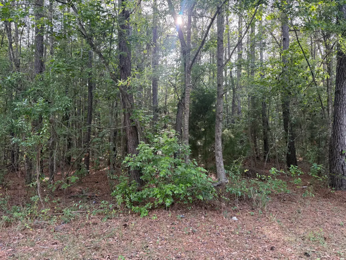 00 Sable Lane, Huger, SC 29450 - #1