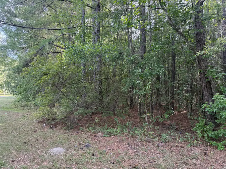 00 Sable Lane, Huger, SC 29450 - #3