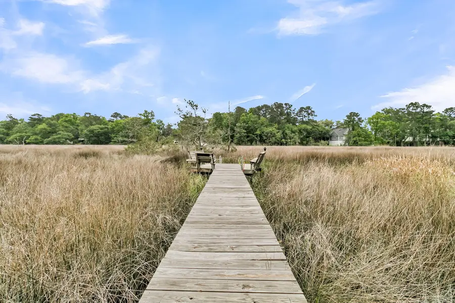 2044 Marsh Flower Lane, Charleston, SC 29414 - #3