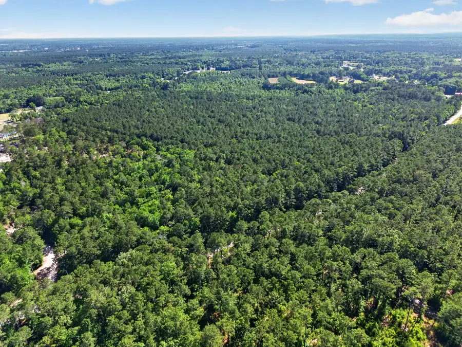 00 Longridge Road, Moncks Corner, SC 29461 - #3