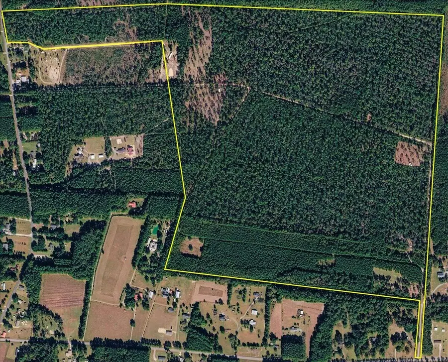 00 Rice Road, Ridgeville, SC 29472 - #2