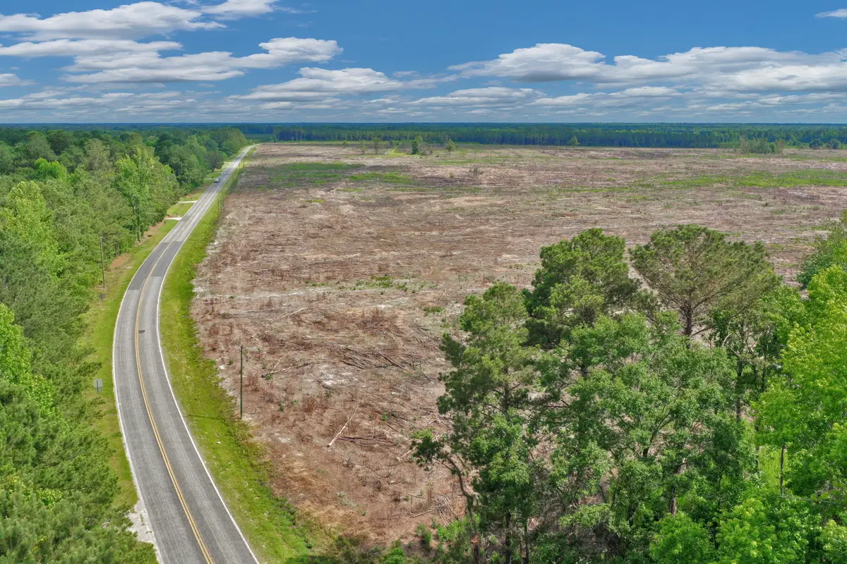 0000 June Burn Road #2, Manning, SC 29102 - #1