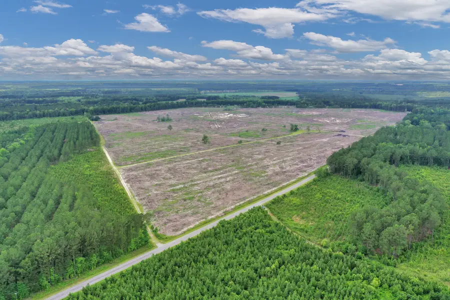 0000 June Burn Road #2, Manning, SC 29102 - #2