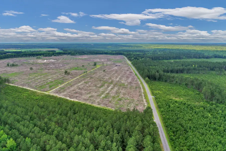0000 June Burn Road #2, Manning, SC 29102 - #3