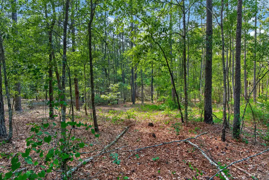 5120 N Brewington Road #10, Manning, SC 29102 - #3