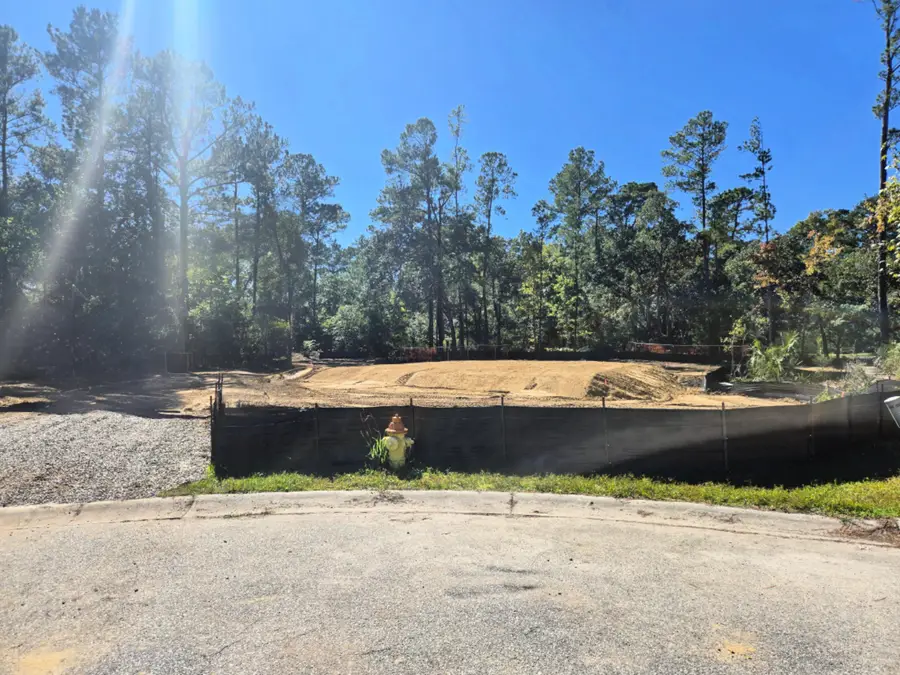 2923 Zachary George Lane, Johns Island, SC 29455 - #2