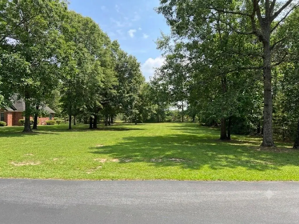 318 Lake Arbu Drive, Manning, SC 29102 - #1