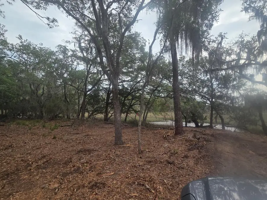 Lot 5 Hwy 165 Highway, Meggett, SC 29449 - #2