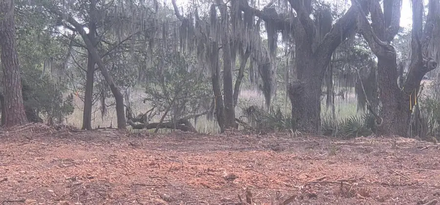 Lot 5 Hwy 165 Highway, Meggett, SC 29449 - #3