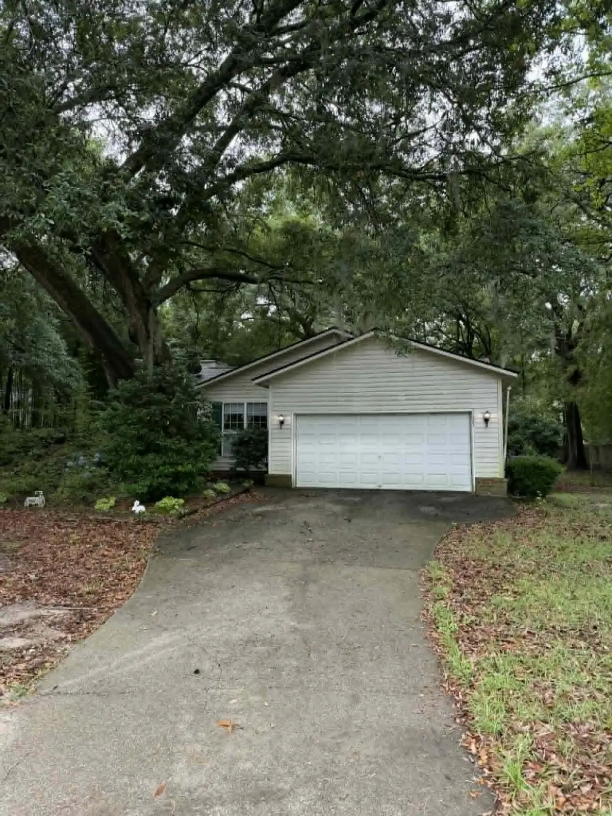 3603 Walkers Ferry Lane, Johns Island, SC 29455 - #1