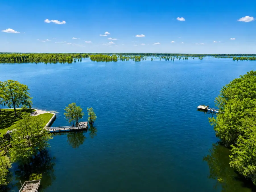 569 Stumphole Road, Elloree, SC 29047 - #3