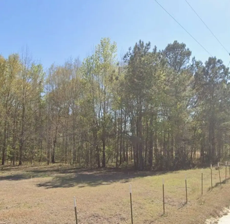 0 Lazy Lane, Bamberg, SC 29003 - #3