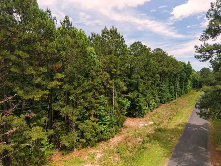 0000 Hickory Hill Road, Green Pond, SC 29446 - #2