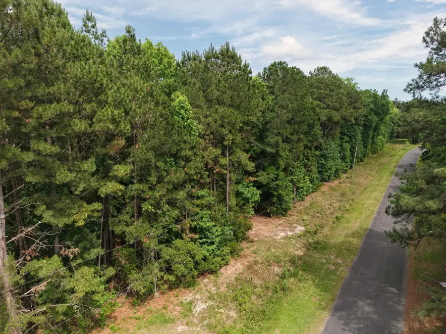 0000 Hickory Hill Road, Green Pond, SC 29446 - #3
