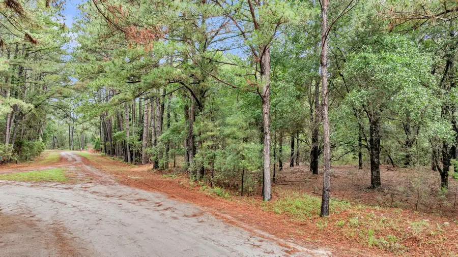 0 Josie Ridge Road #Lot 23, Wadmalaw Island, SC 29487 - #3