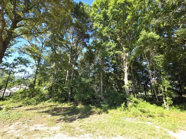 130 Green Court, Santee, SC 29142
