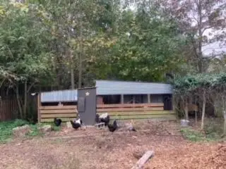 1661 Lonnie Taylor Lane, Wadmalaw Island, SC 29487 - #3