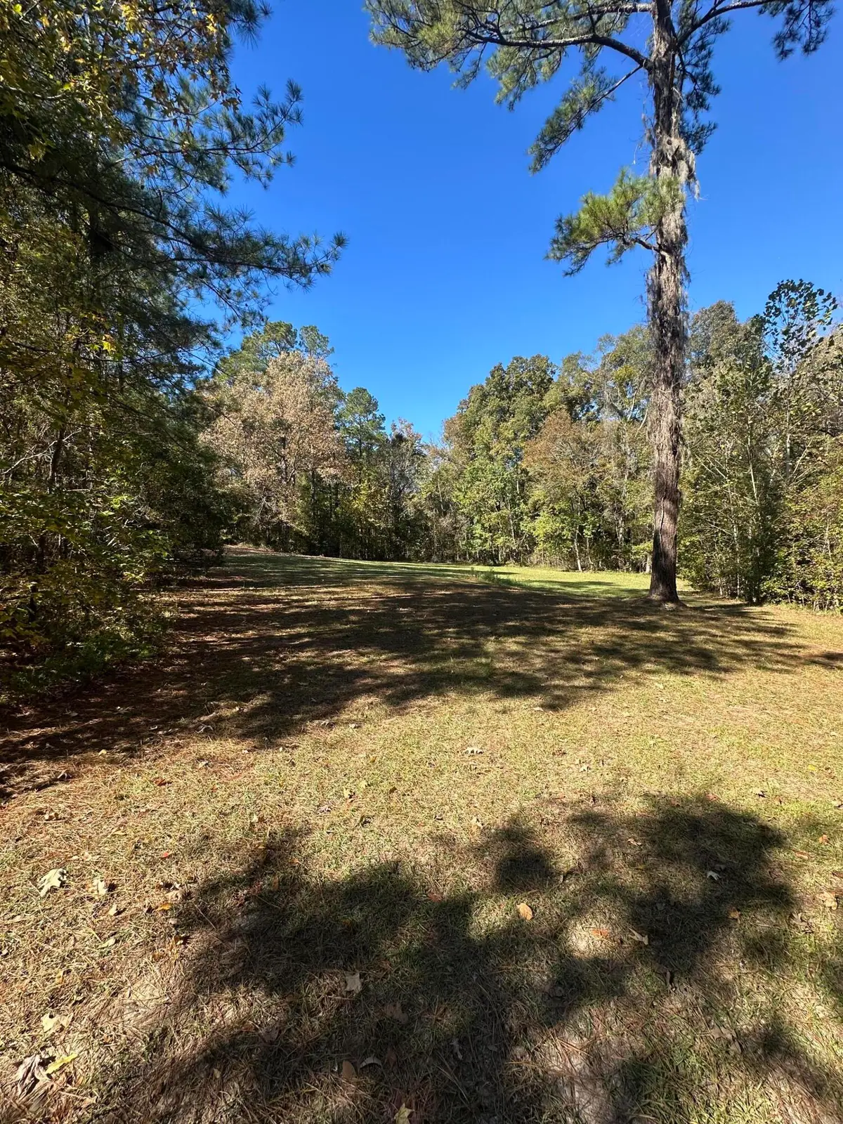 00 Willington Drive, Ridgeville, SC 29472 - #1