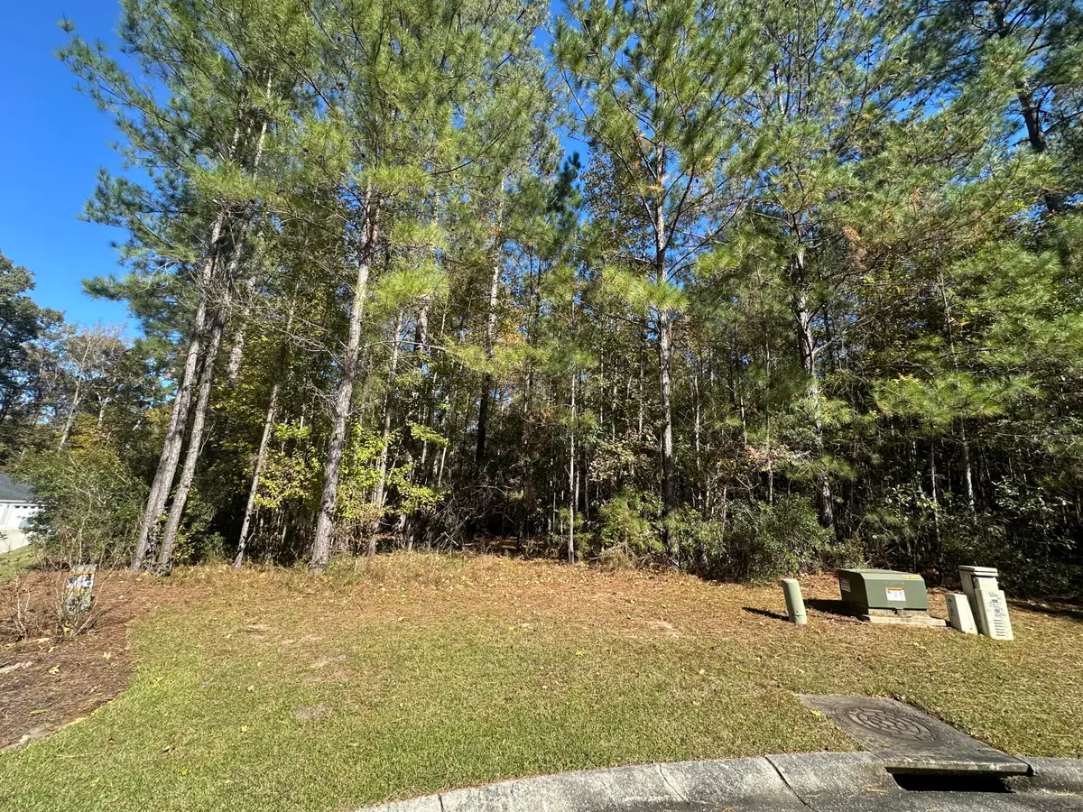 2024 Briar Bend Road, Ridgeville, SC 29472 - #1