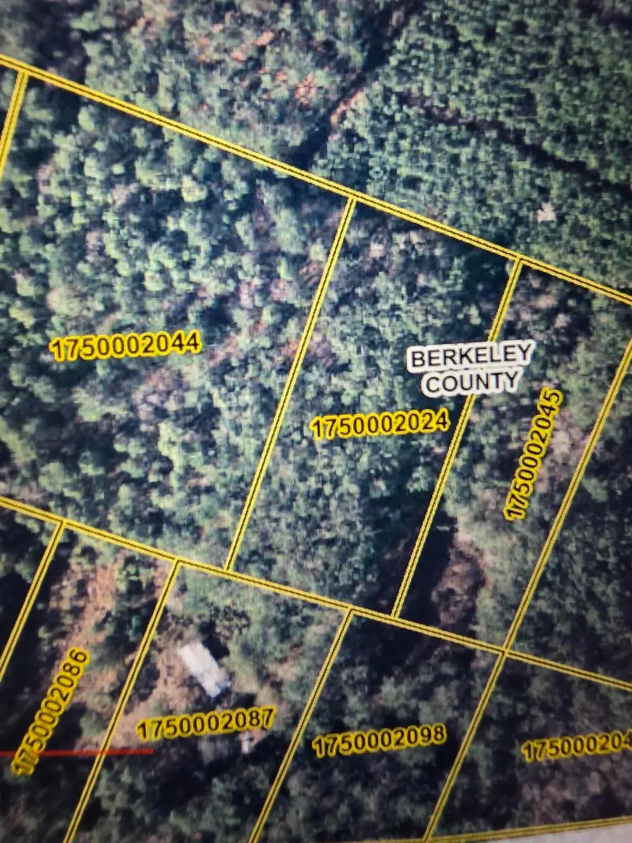 000 Clifford Way, Ridgeville, SC 29472 - #2