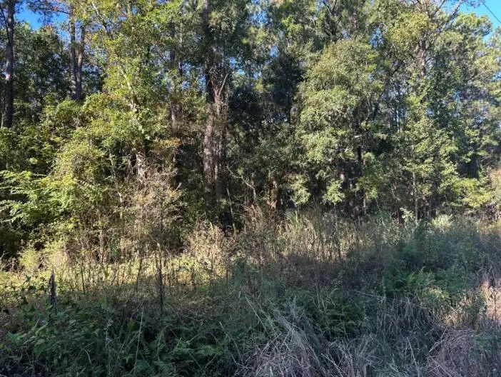 00 Joyner Lane, Charleston, SC 29492 - #2