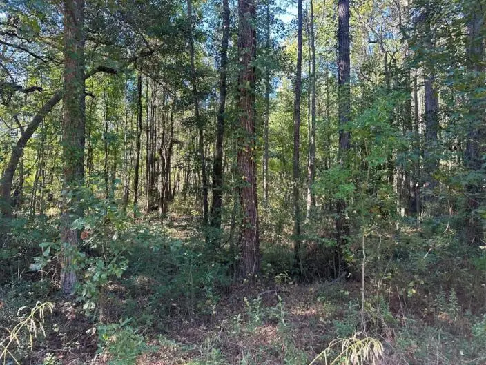 00 Joyner Lane, Charleston, SC 29492 - #3
