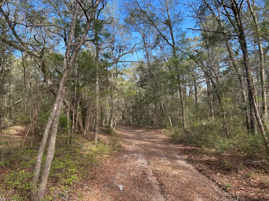11 Boat Landing Road, Ridgeville, SC 29472 - #3