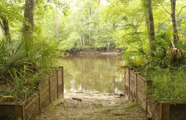 5451 Wire Road, Branchville, SC 29432