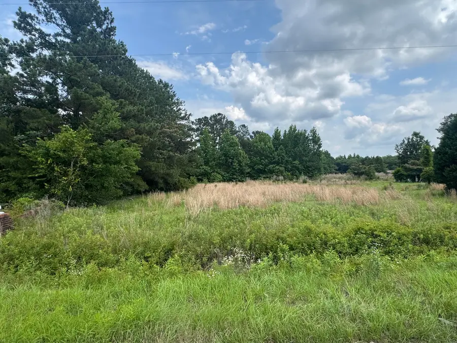 135 Avacodo Drive, Santee, SC 29142 - #2
