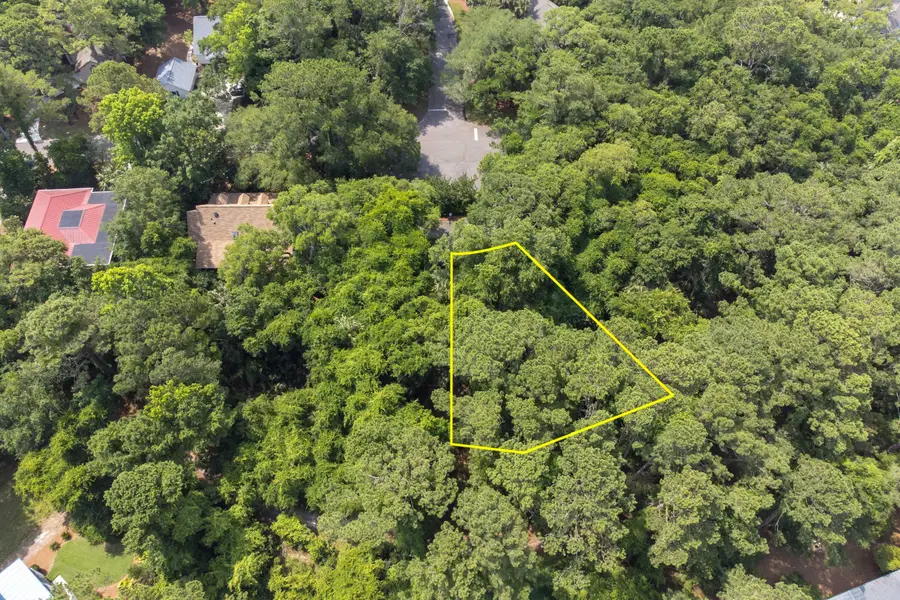 2124 Royal Pine Drive, Seabrook Island, SC 29455 - #3