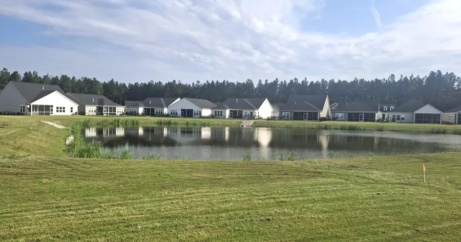 1649 Locals Street, Summerville, SC 29485 - #2