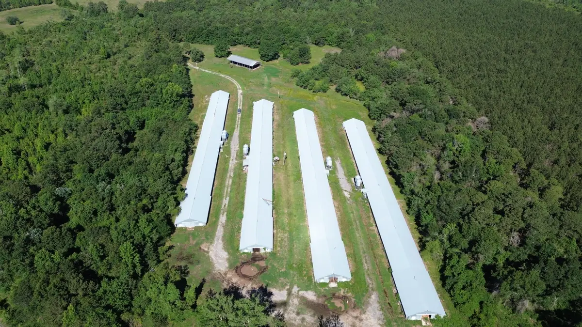 0 Holladay Road, Manning, SC 29102 - #1
