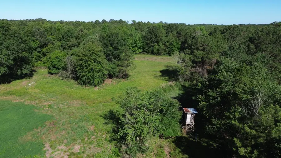 0 Holladay Road, Manning, SC 29102 - #2