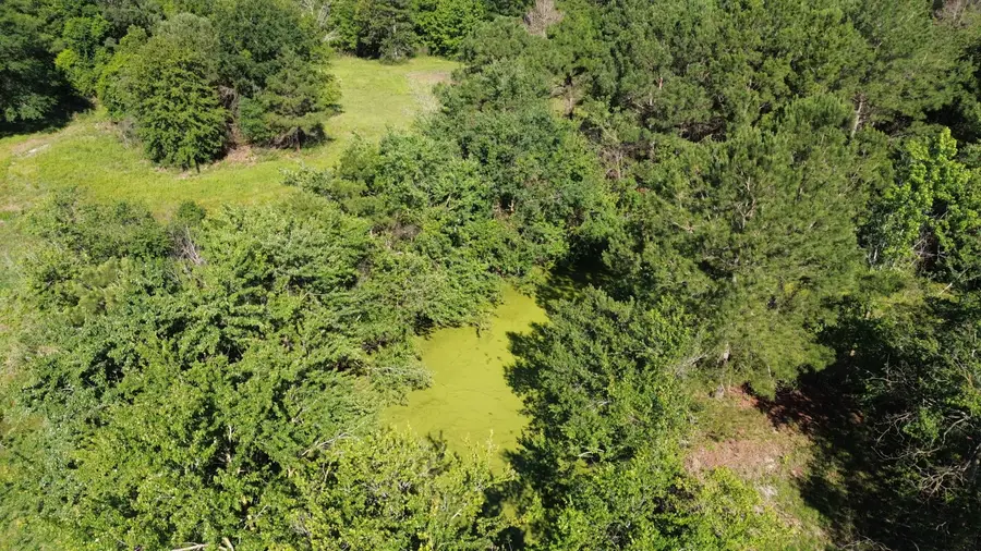 0 Holladay Road, Manning, SC 29102 - #3