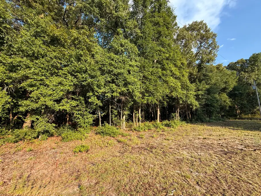 100 Triangle Drive, Summerton, SC 29148 - #2
