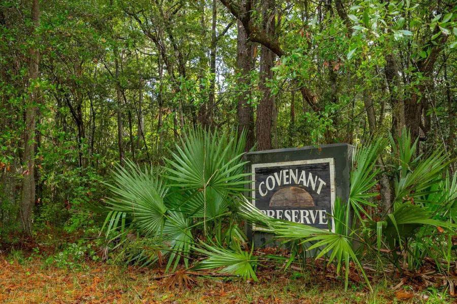 746 Wilson Cemetery Road, Awendaw, SC 29429 - #3
