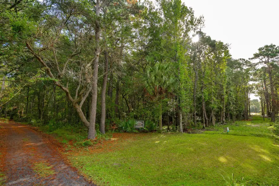 736 Wilson Cemetery Road, Awendaw, SC 29429 - #3