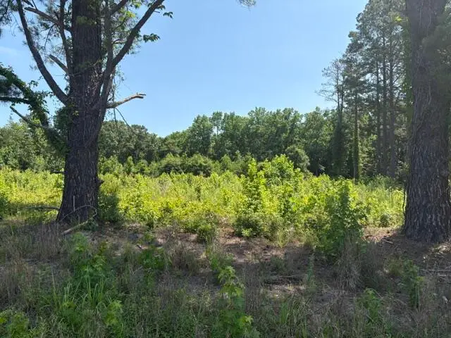 Tbd Boston Wells, Alcolu, SC 29001 - #2