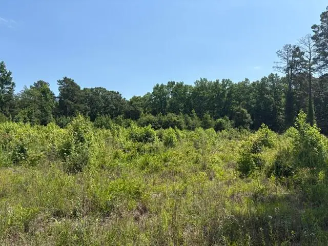 Tbd Boston Wells, Alcolu, SC 29001 - #3