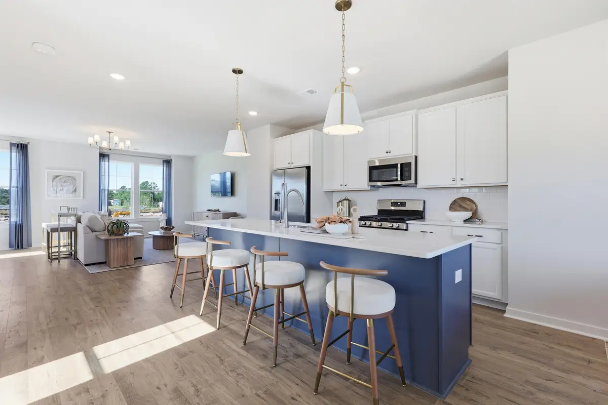 208 Laurelhurst Court, Johns Island, SC 29455 - #1