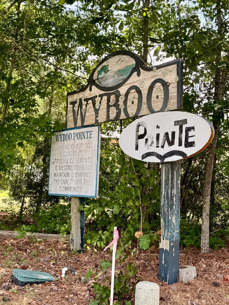 1655 Beaver Drive, Manning, SC 29102 - #3