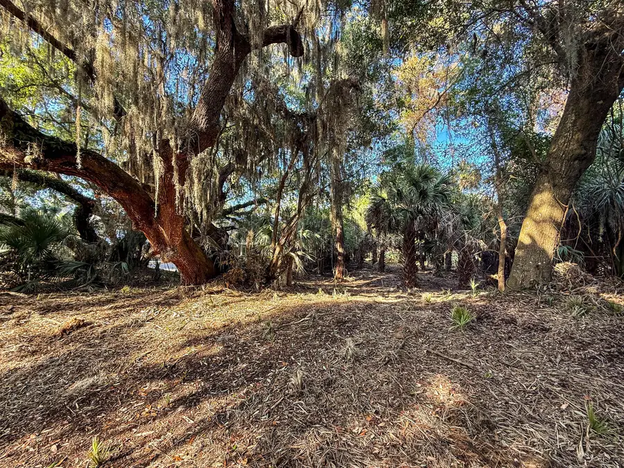 3303 Fort Street, Edisto Island, SC 29438 - #2